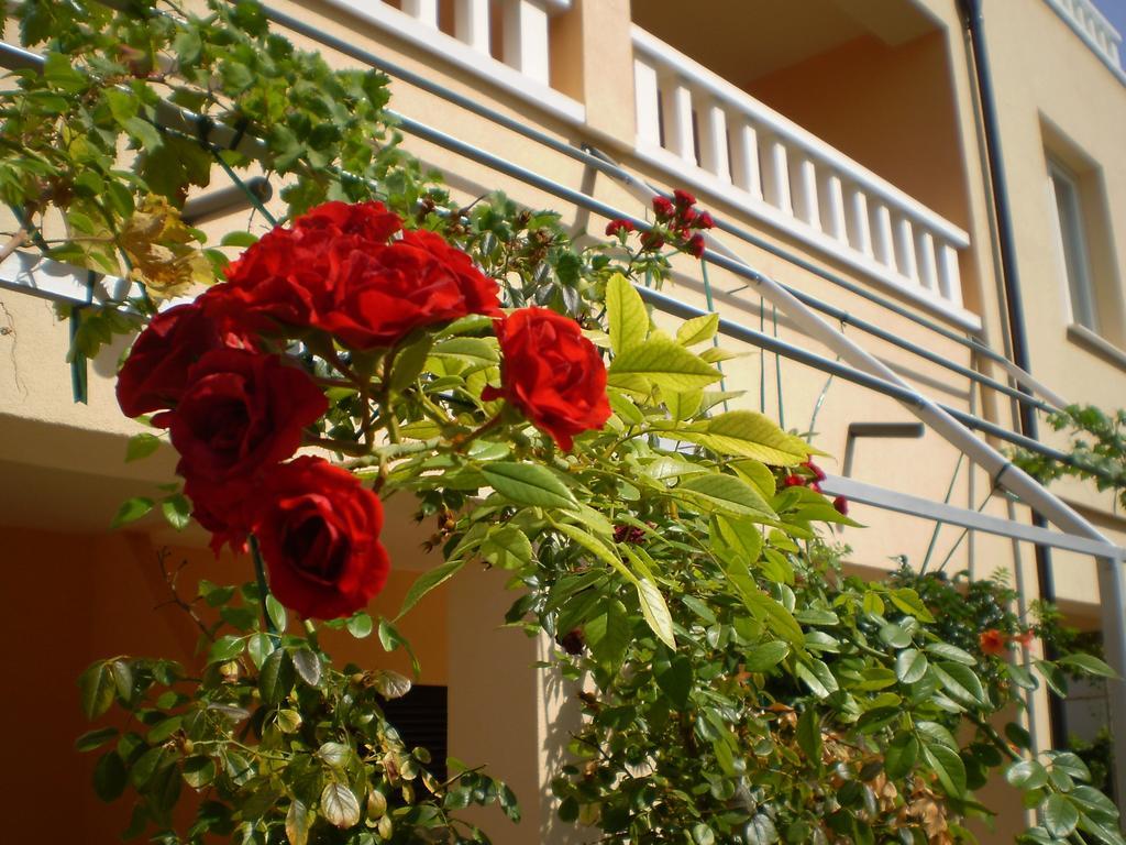 Apartments Tare, Free Parking Водице Номер фото